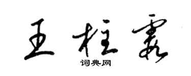 梁錦英王柱霞草書個性簽名怎么寫