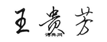 駱恆光王貴芳行書個性簽名怎么寫