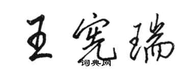 駱恆光王憲瑞行書個性簽名怎么寫