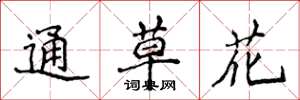 侯登峰通草花楷書怎么寫