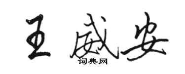 駱恆光王威安行書個性簽名怎么寫