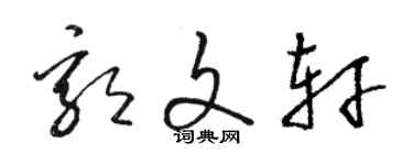 駱恆光郭文軒草書個性簽名怎么寫