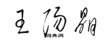 駱恆光王陽晶草書個性簽名怎么寫