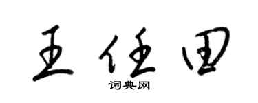 梁錦英王任田草書個性簽名怎么寫