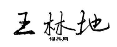 曾慶福王林地行書個性簽名怎么寫