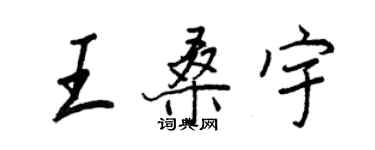 王正良王桑宇行書個性簽名怎么寫