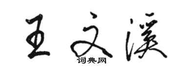 駱恆光王文溪行書個性簽名怎么寫