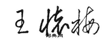 駱恆光王懷梅草書個性簽名怎么寫