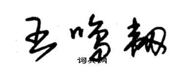 朱錫榮王鳴韌草書個性簽名怎么寫