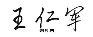 駱恆光王仁軍行書個性簽名怎么寫