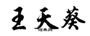 胡問遂王天葵行書個性簽名怎么寫