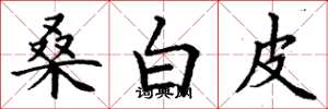 丁謙桑白皮楷書怎么寫