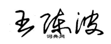 朱錫榮王陳波草書個性簽名怎么寫