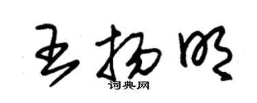 朱錫榮王揚明草書個性簽名怎么寫