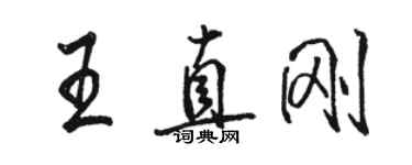駱恆光王直剛行書個性簽名怎么寫