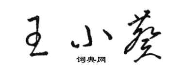 駱恆光王小葵草書個性簽名怎么寫