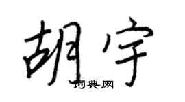 王正良胡宇行書個性簽名怎么寫