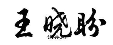 胡問遂王曉盼行書個性簽名怎么寫
