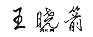 駱恆光王曉箭行書個性簽名怎么寫