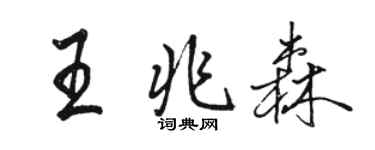 駱恆光王兆森行書個性簽名怎么寫