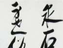 趙子昂草書書法作品欣賞_趙子昂草書字帖(第23頁)_書法字典