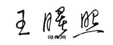 駱恆光王曙照草書個性簽名怎么寫