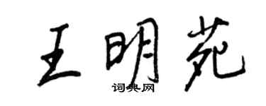 王正良王明苑行書個性簽名怎么寫