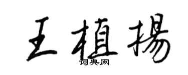 王正良王植揚行書個性簽名怎么寫