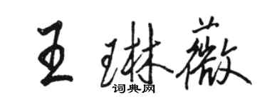 駱恆光王琳薇行書個性簽名怎么寫