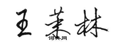 駱恆光王茉林行書個性簽名怎么寫