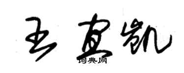 朱錫榮王宜凱草書個性簽名怎么寫