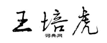 曾慶福王培虎行書個性簽名怎么寫