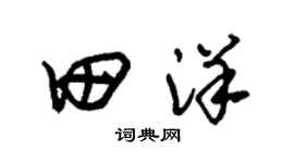 朱錫榮田洋草書個性簽名怎么寫