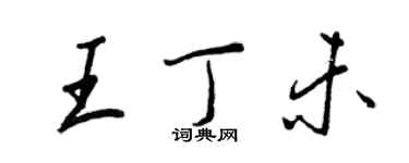 王正良王丁未行書個性簽名怎么寫