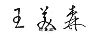 駱恆光王美森草書個性簽名怎么寫