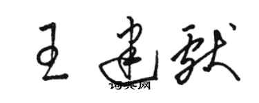 駱恆光王建獻草書個性簽名怎么寫