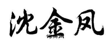 胡問遂沈金鳳行書個性簽名怎么寫