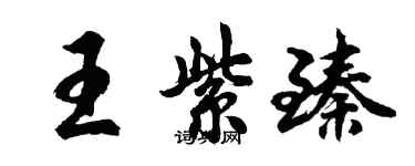 胡問遂王紫臻行書個性簽名怎么寫