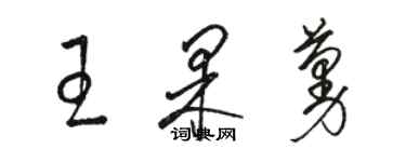 駱恆光王果蔓草書個性簽名怎么寫