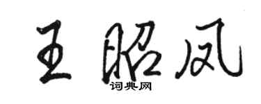 駱恆光王昭鳳行書個性簽名怎么寫