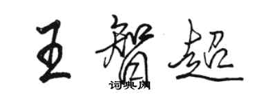 駱恆光王智超行書個性簽名怎么寫