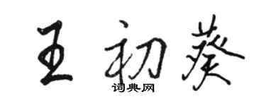 駱恆光王初葵行書個性簽名怎么寫