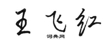 駱恆光王飛紅行書個性簽名怎么寫