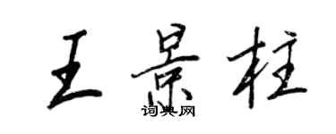 王正良王景柱行書個性簽名怎么寫