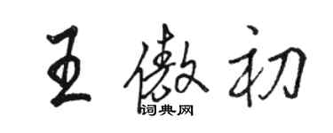 駱恆光王傲初行書個性簽名怎么寫