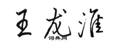 駱恆光王龍淮行書個性簽名怎么寫