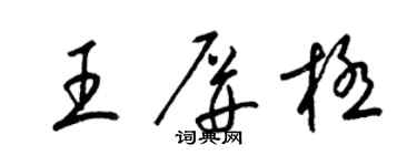 梁錦英王屏極草書個性簽名怎么寫