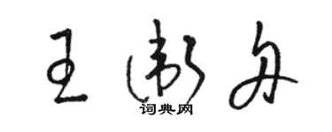 駱恆光王衛舟草書個性簽名怎么寫