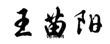 胡問遂王苗陽行書個性簽名怎么寫