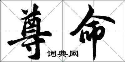 胡問遂尊命行書怎么寫